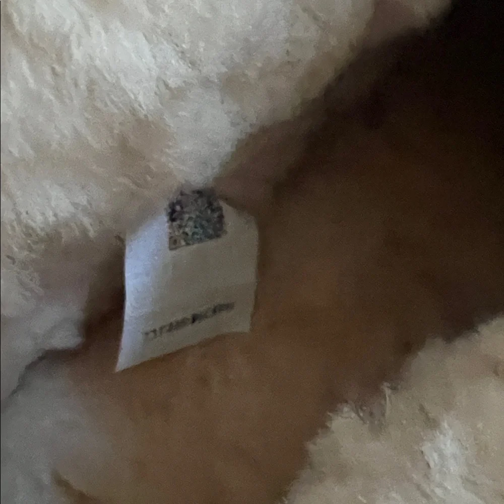 UGG new box
